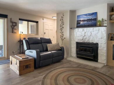 1204 Avenida Del Sol unit 211, Durango, CO 81301 - photo 4
