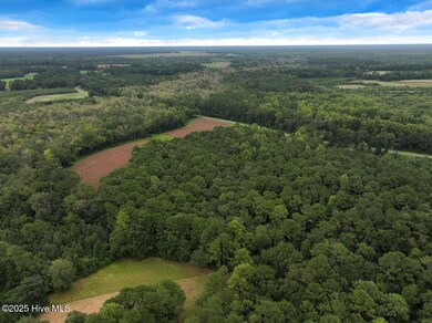 0 Stocking Head Rd, Greenevers, NC 28458 - photo 6