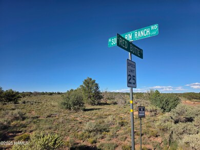 10072 Red Butte Rd, Valle, AZ 86046 - photo 7