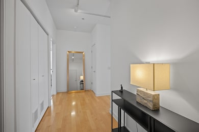 SoNo unit 1702, Chicago, IL 60642 - photo 7