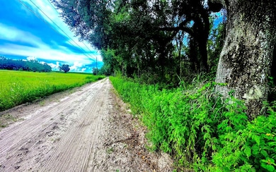 TBD NE Sage Rd, Mayo, FL 32066 - photo 3