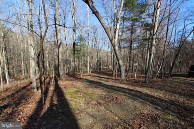 Lot C-54 Trout Stream Rd, Lost River, WV 26810 - photo 4