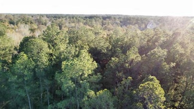 2700 County Road 443, Magnolia Springs, TX 75956 - photo 2