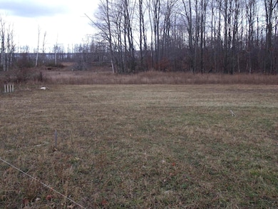 2327 Mcmichael Rd, Tuscarora Township, MI 49706 - photo 7