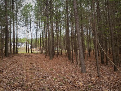 middle