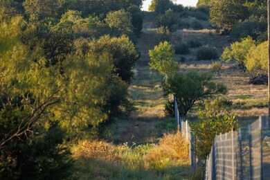 State Highway 180, Breckenridge, TX 76429 - photo 5