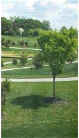 235 N Caldwell Cir, Downingtown, PA 19335 - photo 3