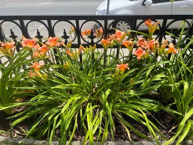 147 River St unit 2, Cambridge, MA 02139 - photo 5