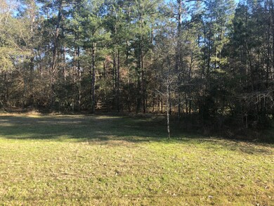 XXX Bob Link, Magnolia, TX 77484 - photo 7