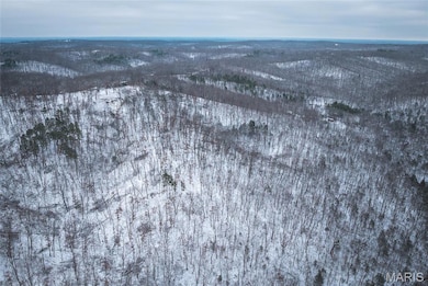 000 Click, Richwoods, MO 63071 - photo 5