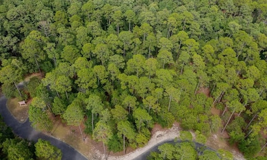 2955 Verrazano Ln SE, Lockwoods Folly, NC 28422 - photo 7