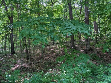 Lot Grandview Loop, Long Prairie, MN 56347 - photo 2
