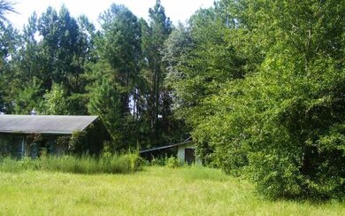 unlisted-address, Lake City, FL 32055 - photo 2