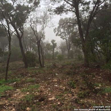 14111 Panther Valley, Helotes, TX 78023 - photo 6