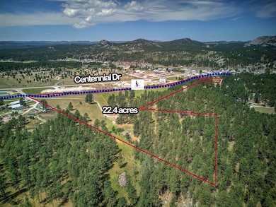 12236 Buffalo Ridge unit 12236 Buffalo Ridge, Custer, SD 57730 - photo 3