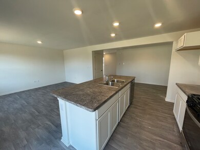 329 Monte Carlo Way, Joliet, IL 60436 - photo 2