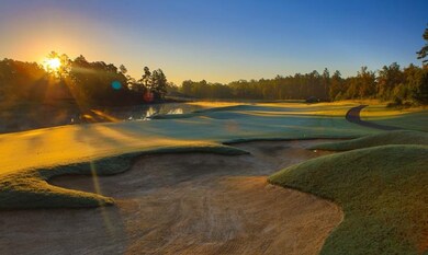 Championship Golf