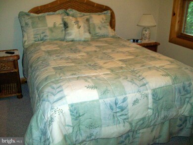 105 Cherry Heights Ln, McHenry, MD 21541 - photo 6