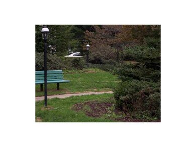 Yard/Garden.