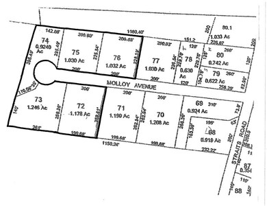 0 Molloy Ave unit 71922448, Hatfield, MA 01038 - photo 5