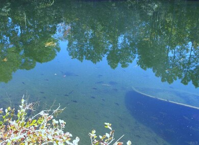 3340 Dunaway Ln, Pensacola, FL 32526 - photo 2