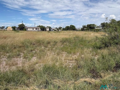 00 Ocotillo Ave, Roswell, NM 88201 - photo 5