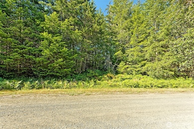 221 W Little Nahwatzel Dr, Shelton, WA 98584 - photo 7