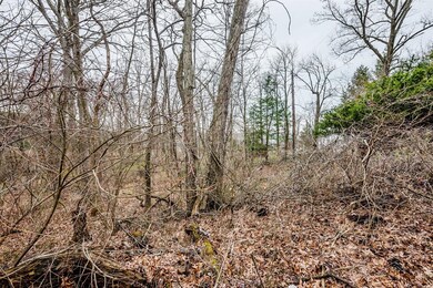 lot 7 N Fail Rd, La Porte, IN 46350 - photo 5