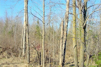 20  Acres on Cloverland Rd, Conrath, WI 54731 - photo 3