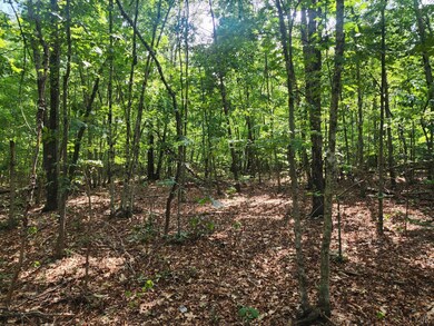 Lot 7-1 Red House Rd, Appomattox, VA 24522 - photo 4