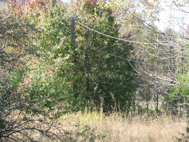 Electricity on property