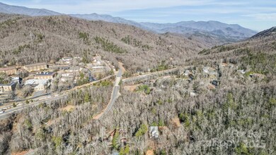 9999 Yates Ave unit PT A, Black Mountain, NC 28711 - photo 6