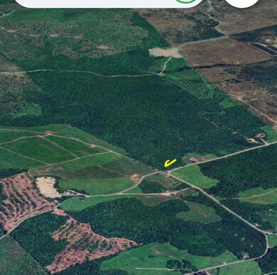 Screenshot_20250227_182217_Google Earth