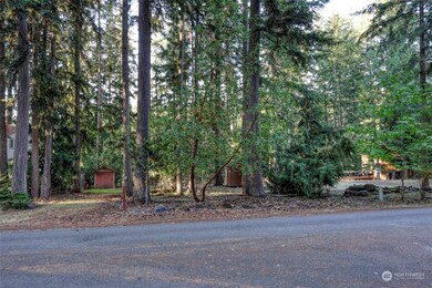 22406 Blue Lake Ct SE, Yelm, WA 98597 - photo 3