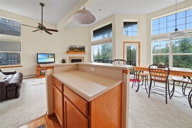 91399 Ryan Gulch Rd unit A1, Silverthorne, CO 80498 - photo 2