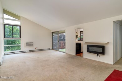 Living room with electric fireplace