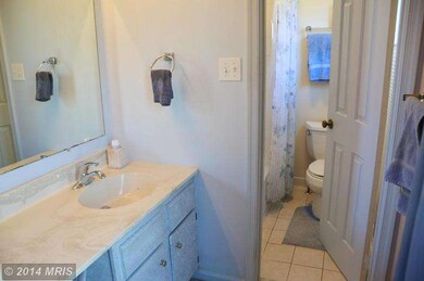 4309 Birch Pond Ln, Fairfax, VA 22033 - photo 7