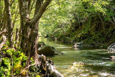 8555 Signal Ridge Rd, Philo, CA 95466 - photo 3