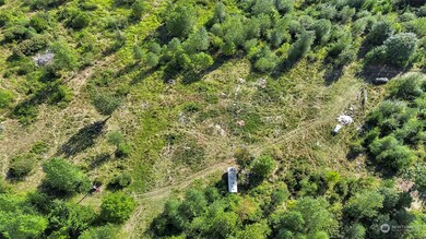 31208 Lebor Devore Rd E, Eatonville, WA 98328 - photo 3