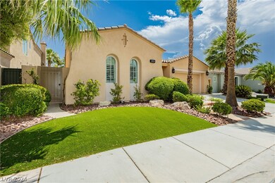 Brand New Exterior Paint