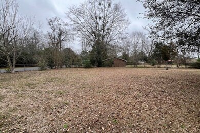 809 10th St, Opp, AL 36467 - photo 3