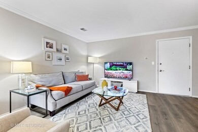 21 Wisteria Ln unit 4033, Schaumburg, IL 60173 - photo 3