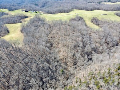 T7 & T8b On Hwy 379, Jamestown, KY 42642 - photo 3
