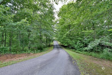 Driveway to home