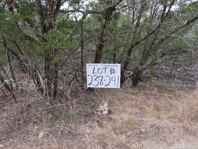 LOT 238-241 Hilltop Loop, Lakehills, TX 78063 - photo 2