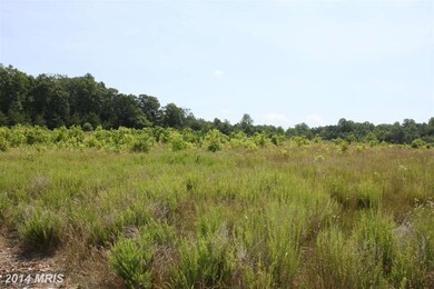 Queen Anne Bridge Rd, Davidsonville, MD 21035 - photo 3