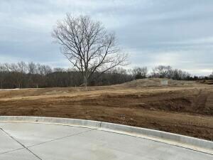 221 Boone Point Subdivision, Boonville, MO 65233 - photo 4