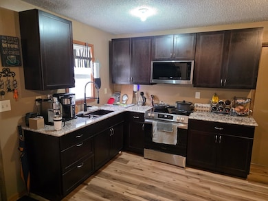 6821 Barrett Rd, Chisholm, MN 55719 - photo 3