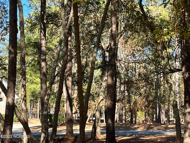 nicely wooded