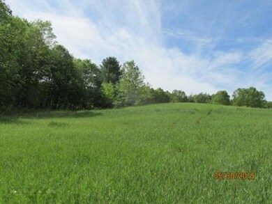 0 Woodland Park Rd unit 16002324, Bitely, MI 49309 - photo 2